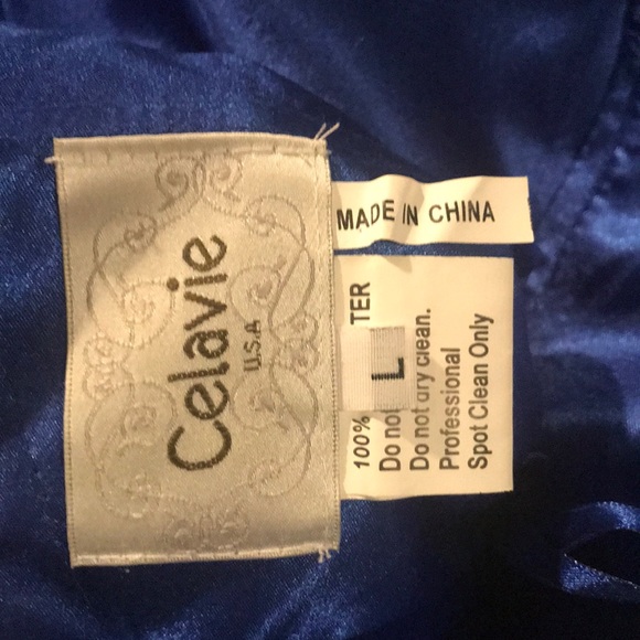 Celavie Dress - Picture 3 of 4